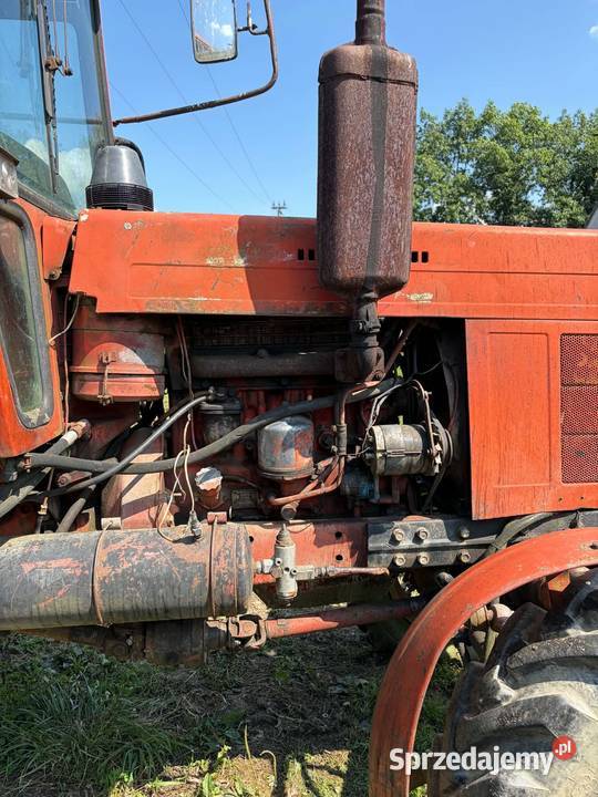 Belarus MTZ 82 Besko