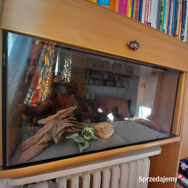 Sprzedam Akwarium Terrarium 100L sprzedam