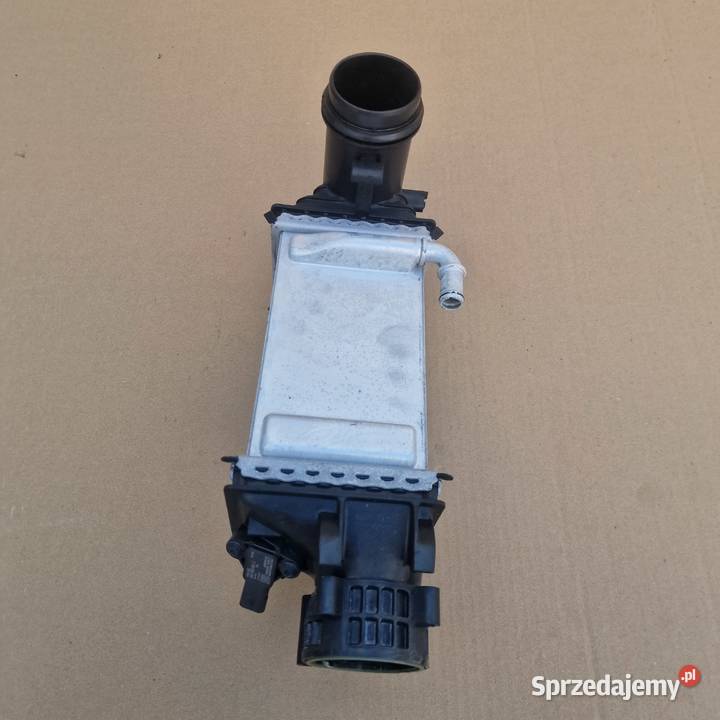 VW INTERCOOLER CHŁODNICA POWIETRZA INTERCOOLER Bieleń
