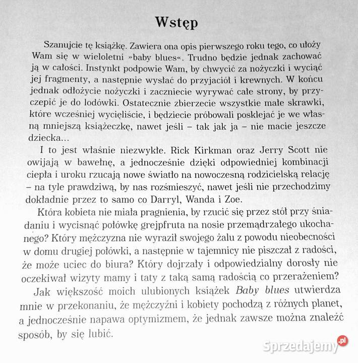 Baby Blues To będzie trudniejsze niż myśleliśmy Rok wydania 2009 Chełm