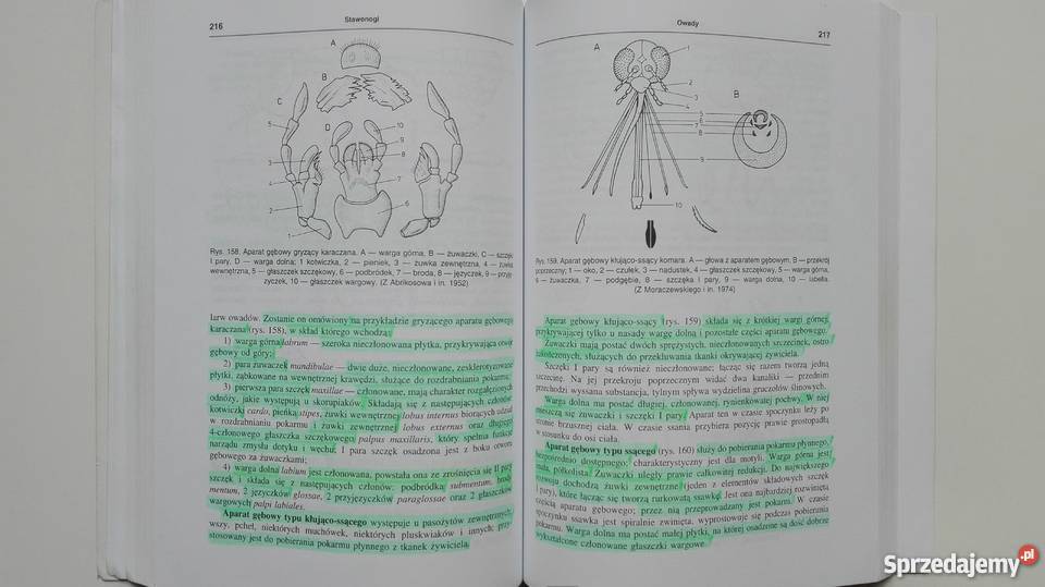 Zoologia uczelni rolniczych JHempelZawitkowska Olsztyn