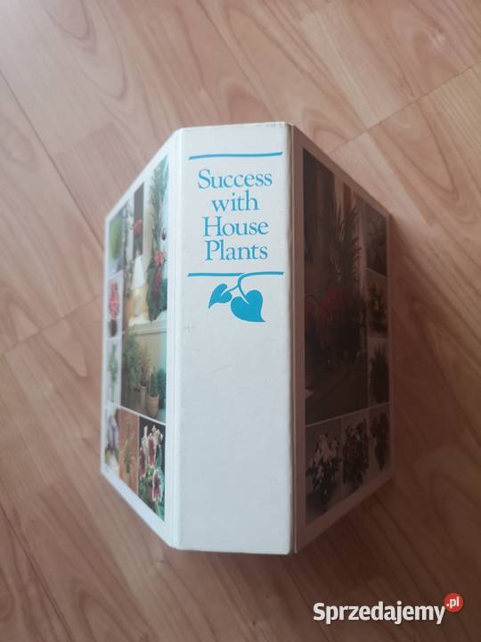 Kwiaty w domu Kultura i Rozrywka dolnośląskie Wałbrzych sprzedam