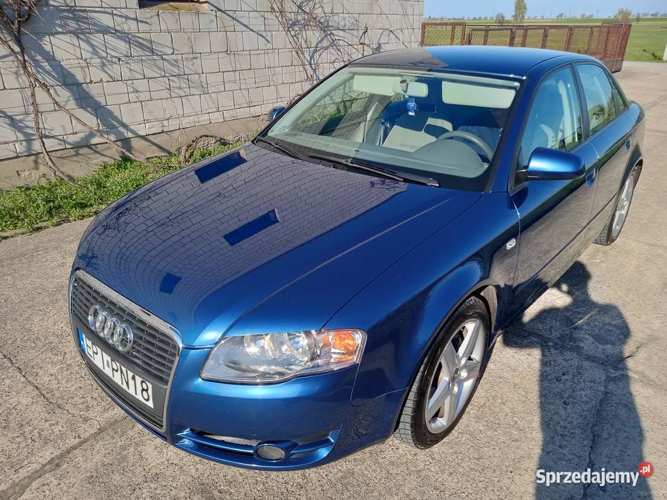 Audi A4 B7 20 TDI Korytnica