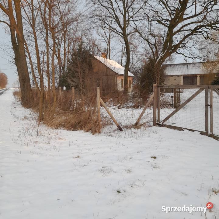 Sprzedam siedlisko siedliskowa
