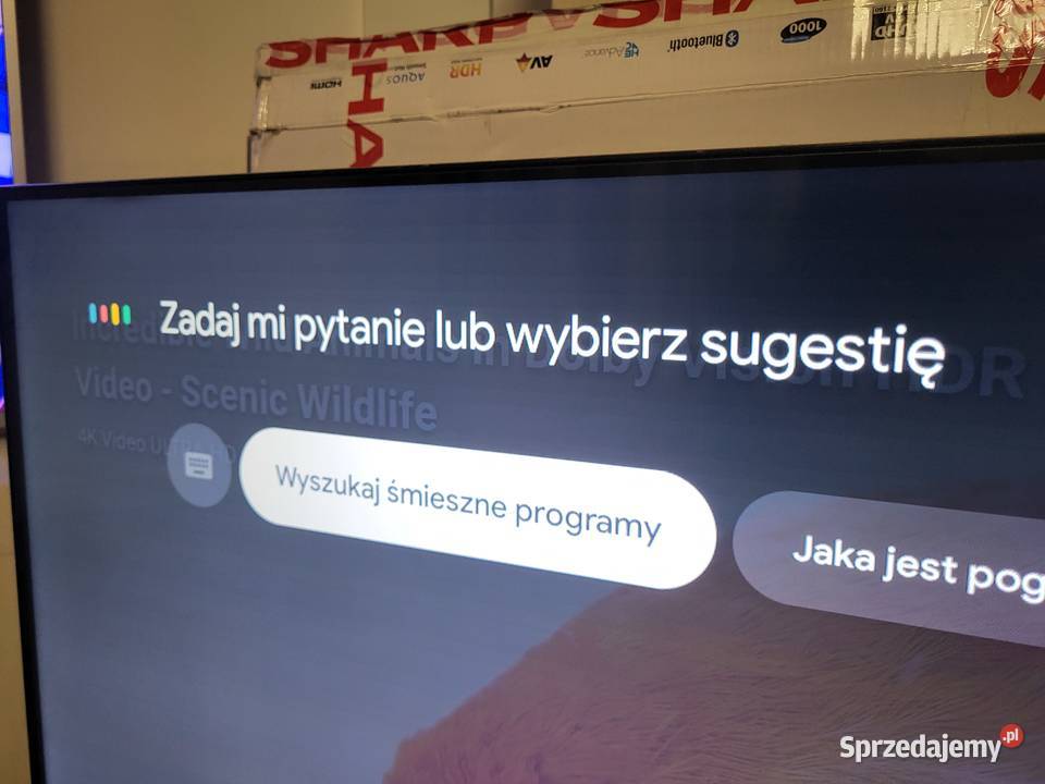 TV Sharp 55GP6760E 55 QLED 4K GoogleTV na 55cale Libiąż