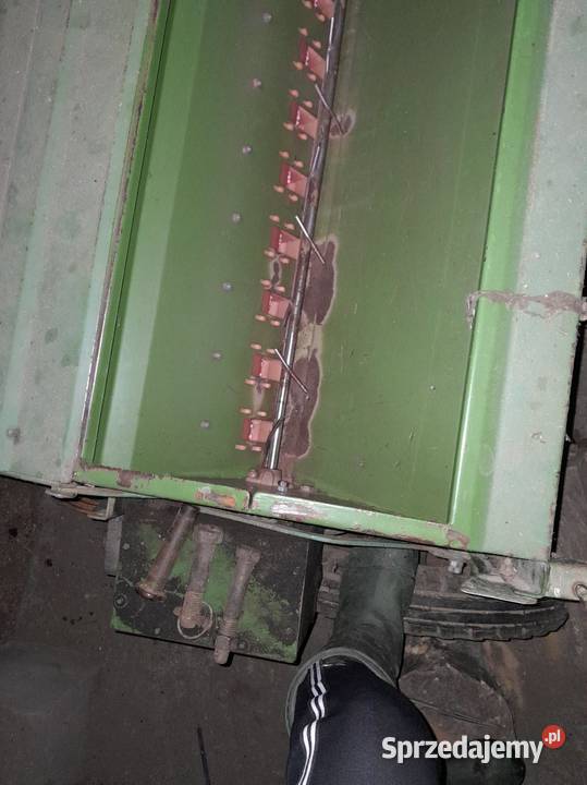 AMZONE D7 łódzkie Felicja