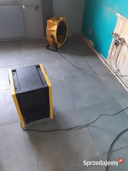 wycieków osuszanie odgrzybianie Gdańsk