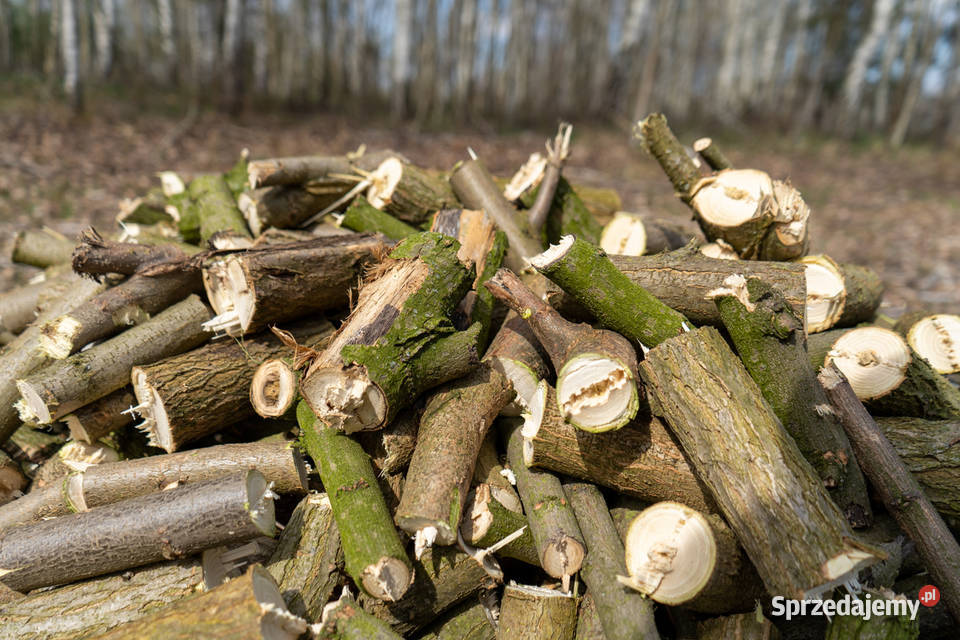 Rębak spalinowy REMET RS120 brutto 9999 Łowisko