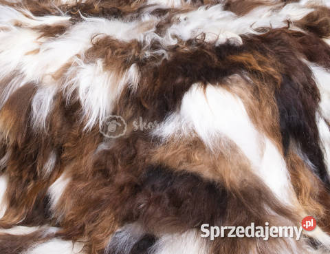 Narzuta ze skóry owczej islandzkiej białobrąz Koce i narzuty Szaflary