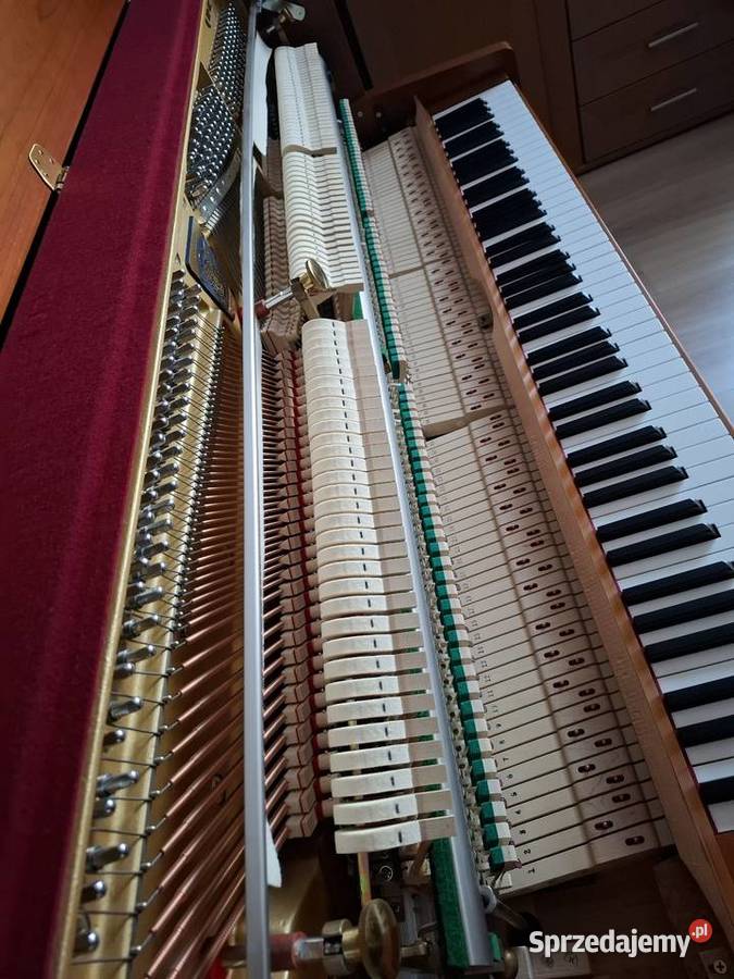 Pianino Eutepre CBECHSTEIN model EU112 stannowe