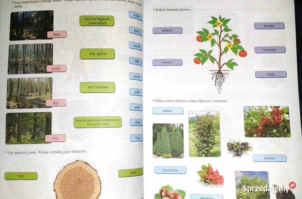 Zielona podróż kl 3 Ewa Borysiuk Książki i Podręczniki Chełm sprzedam