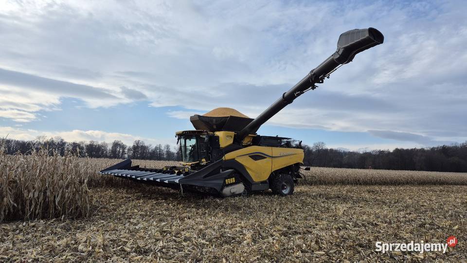 Koszenie kukurydzy opolskie cr11 Niemodlin