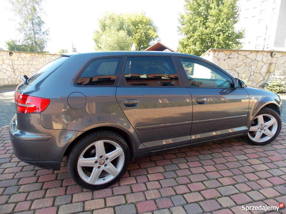 Audi A3 8P Sportback Stan 16MPI Instalacja VAT marża śląskie Zawiercie