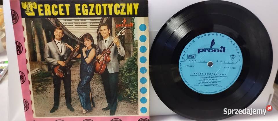 Płyty Winyl Single stan Nakło nad Notecią