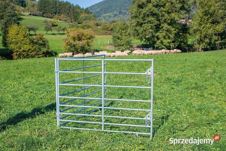 Mini Panel pastwiskowy owiec i kóz wygrodzenie Nowy Targ sprzedam