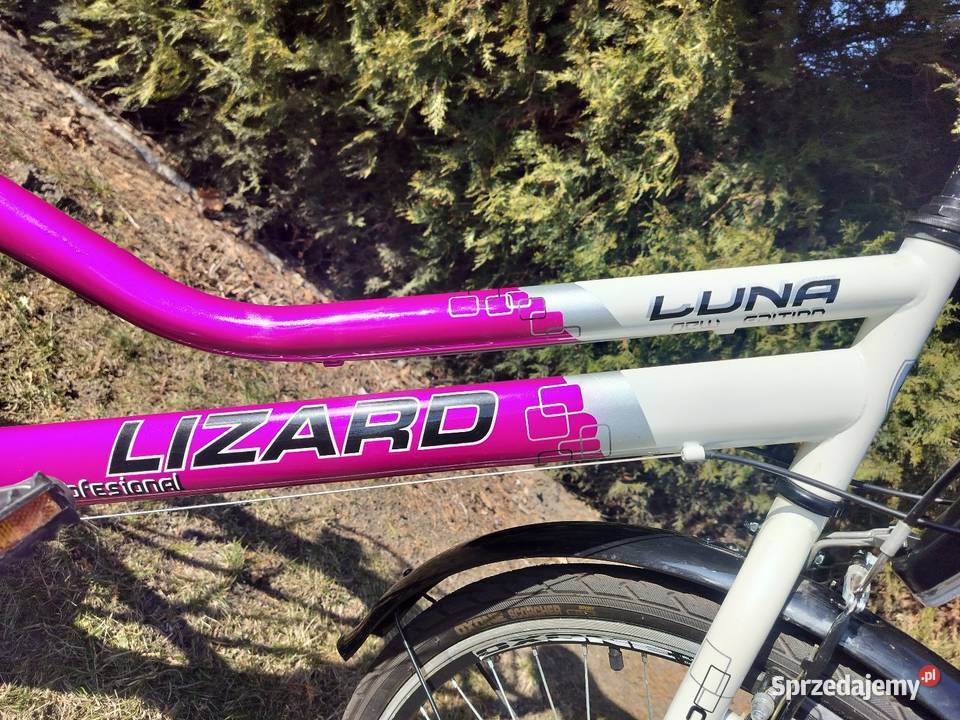 Rower Luna Lizard 26 Dziecięce Dopiewo