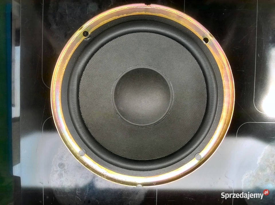 Głośniki do Aiwa SXN999Mk2 łódzkie Łódź