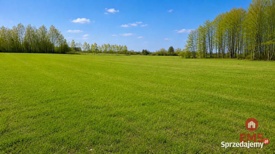 Grunt sprzedam 25280m2 Choroszcz budowlana Sprzedaż Nowosiółki