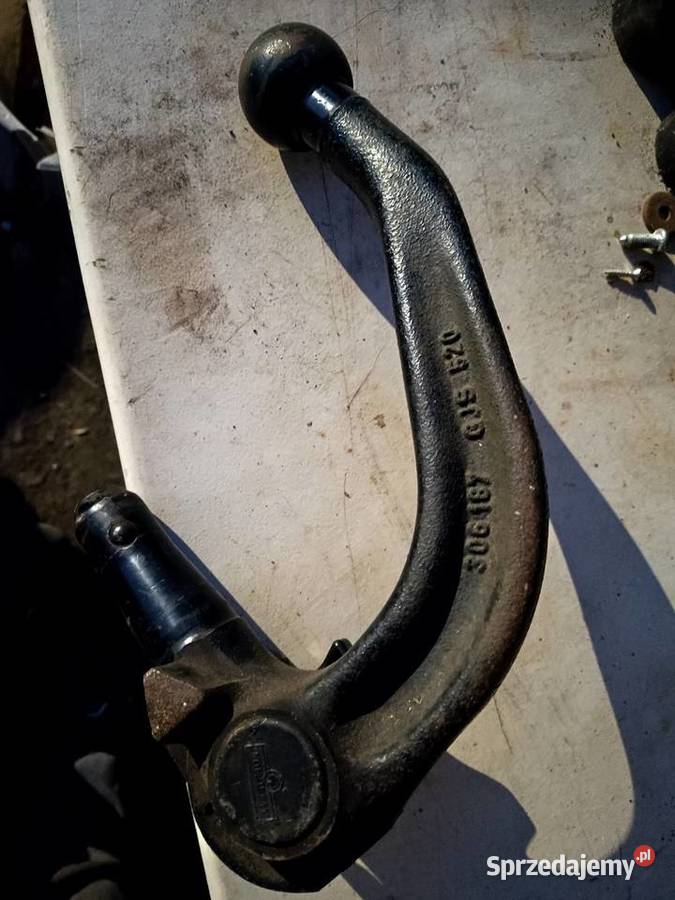 Hak wpinany GJS 520 306187 Leśna