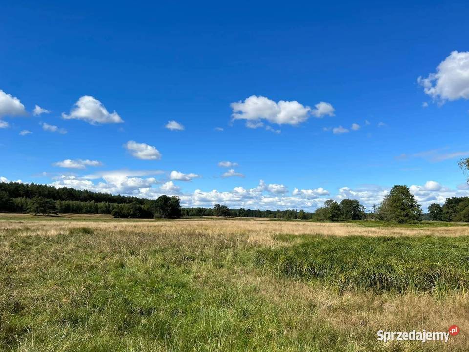 Działka z linią brzegową 12zł/m2 Trzebielino