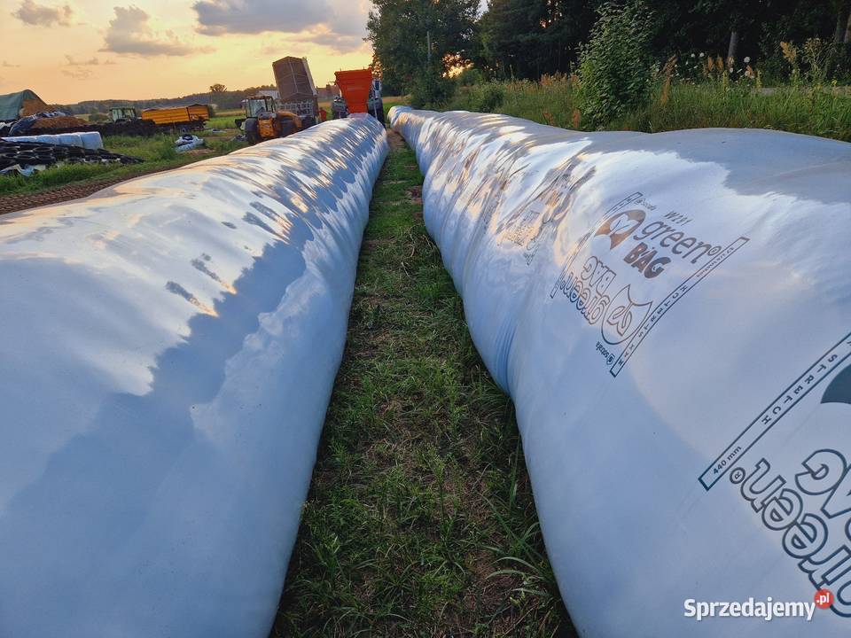 Usługi śrutowania Zbórz ziarna kukurydzy Dobrzyniewo Duże