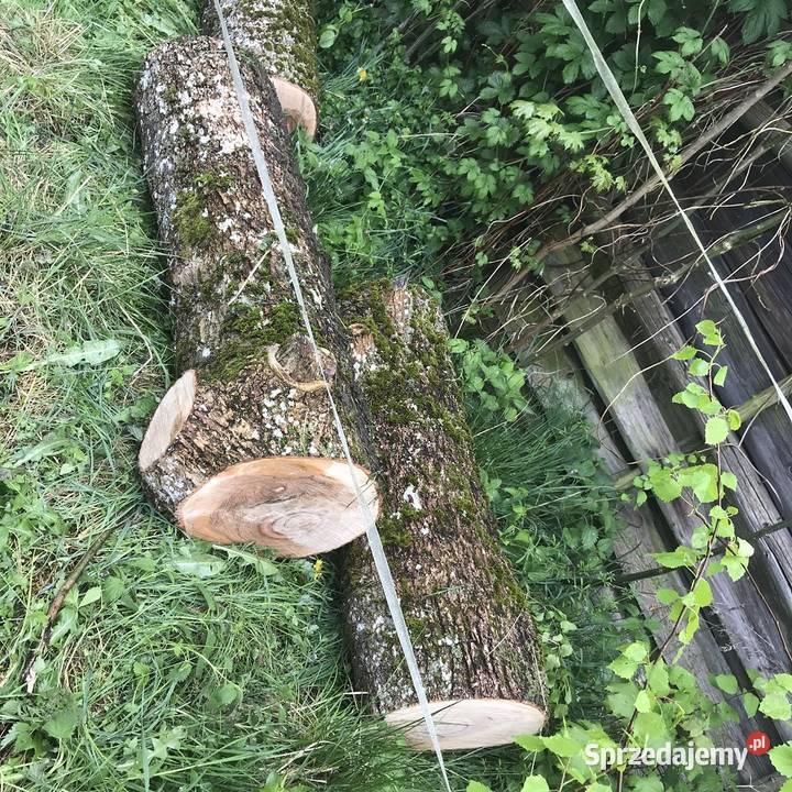 Drewno kominkowe opałowe budulec dł Jesion Dąb