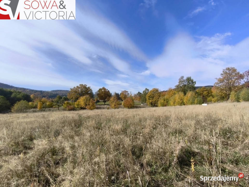 Urokliwa przestrzeń mieszkaniowa pod inwestycje Sprzedaż Grunty i działki Jugów