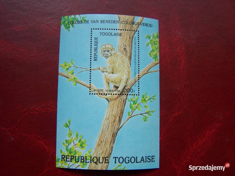 Togo 1984 MNH Mi 176366 Fauna Zwierzęta Małpy Tychy