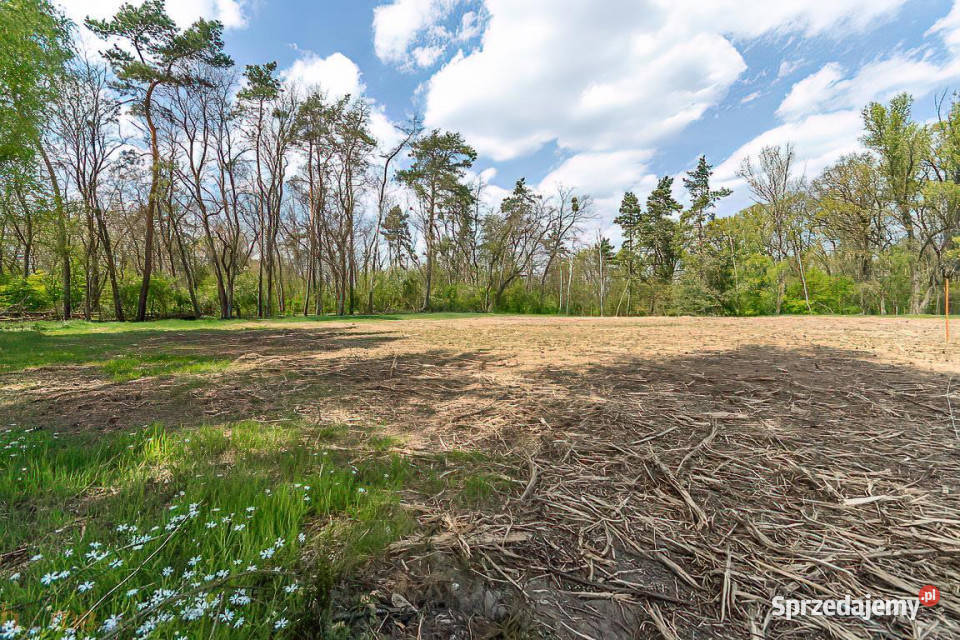 sprzedaży gruntu Brzezinka Średzka 3025m2