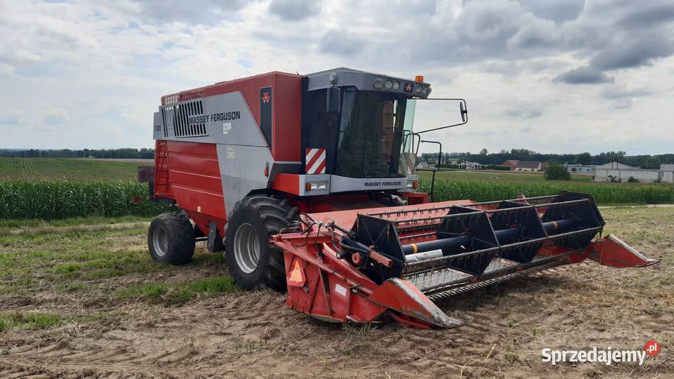 Massey Ferguson 7256 Zbożowe Pruszkowo sprzedam