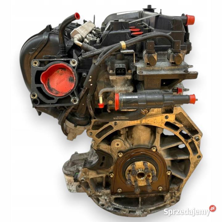 SILNIK AODA Ford Focus II MK2 C 20 16V 145 SYDA Chełm