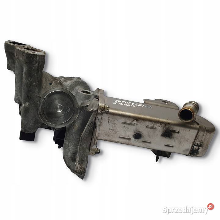 CHŁODNICA SPALIN ZAWÓR EGR Citroen Jumpy 20 HDI Chełm