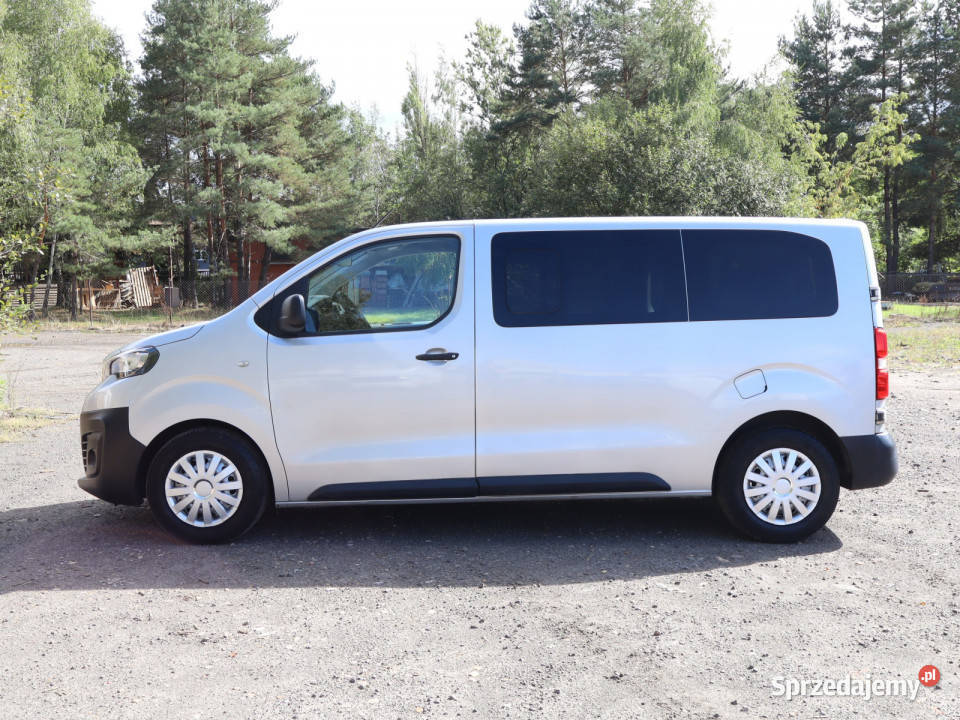 Peugeot Expert 16 BlueHDi śląskie