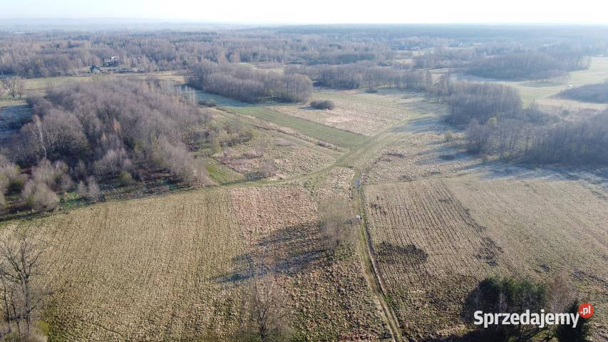 Grunt 8500m2 Bratucice Sprzedaż