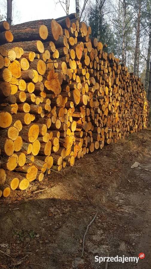 Drewno lipowe rzeźbiarzy olcha na opał podlaskie Narew