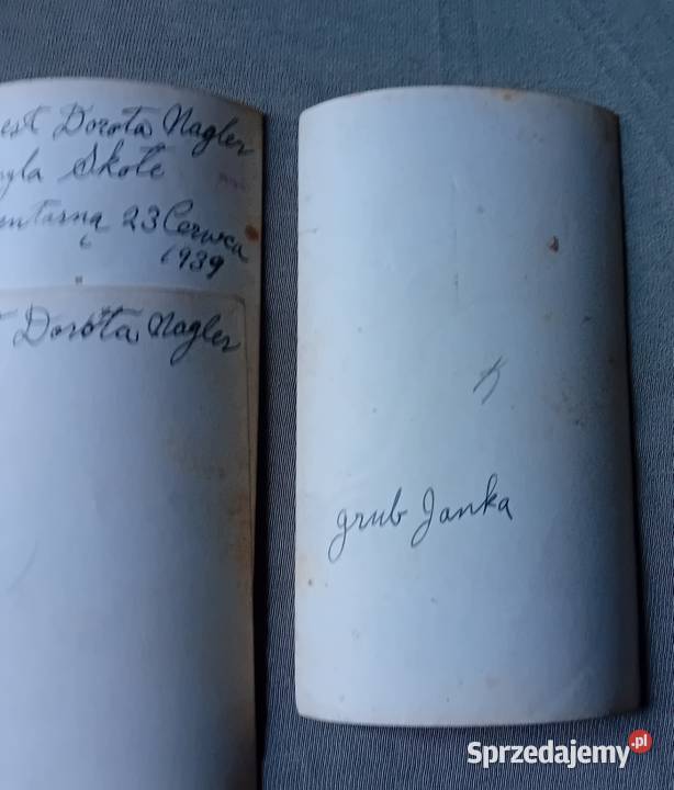 Zestaw 4 fotografii rodzinnych polonia z USA sprzedam