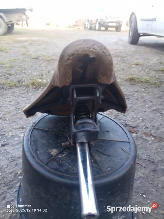 Komar sztywniak DKWNSU Wierzchosławice