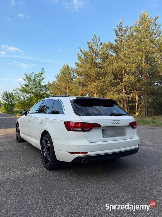 Audi a4b9 Toruń