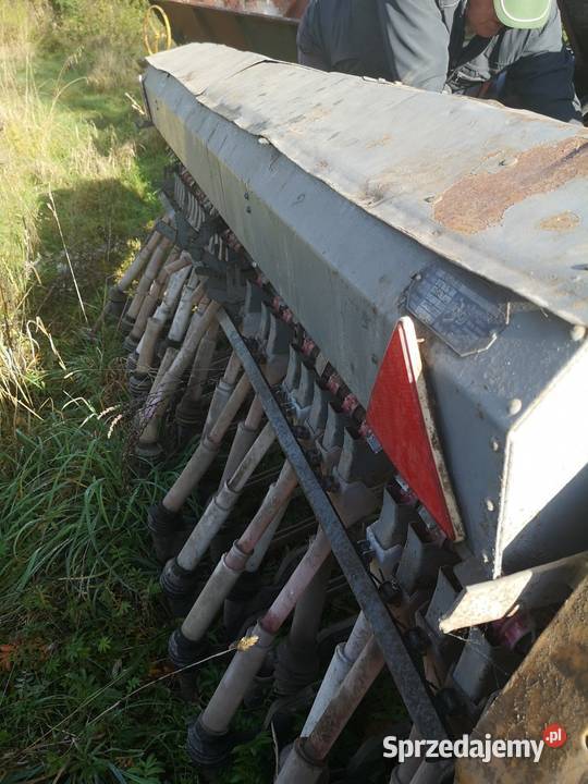 Siewnik Poznaniak