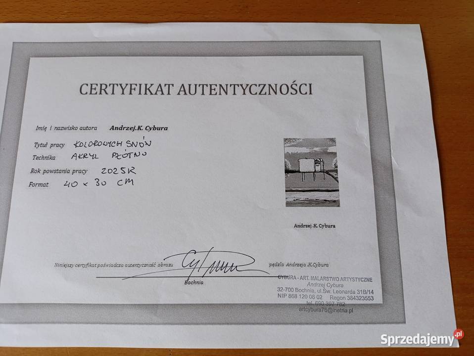 Obraz Andrzej Cybura KOLOROWYCH SNÓW 40x30 sprzedam