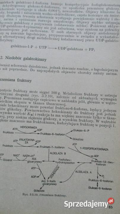 Biochemia kliniczna w praktyce lekarskiej Łódź