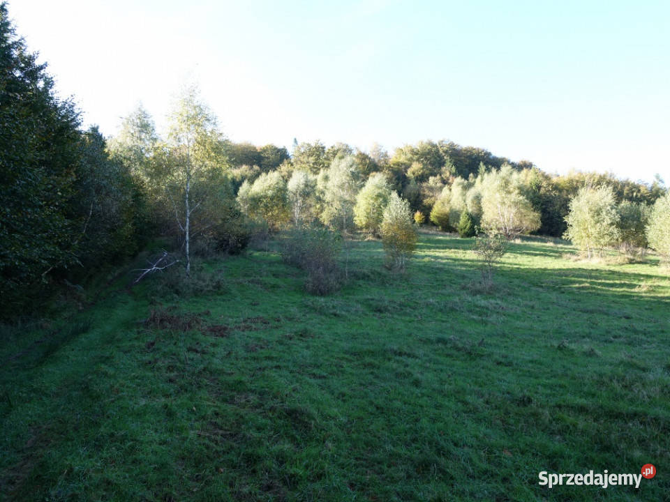 Brenna 253 ha działka inwestycyjna wyciągu