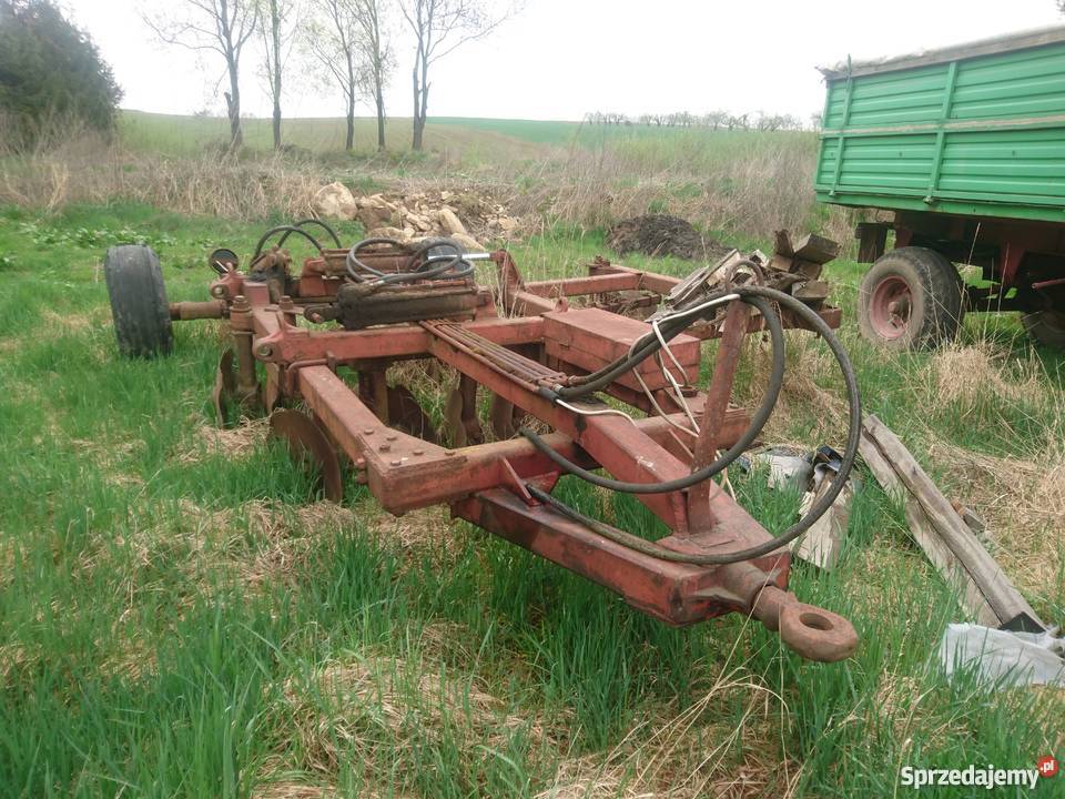 Talerzówka Ruska 5m