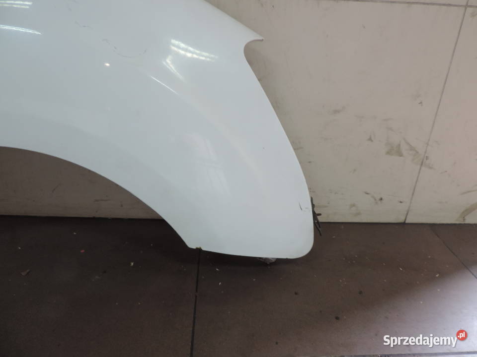 CITROEN BERLINGO II BŁOTNIK PRAWY PRZÓD PRZEDNI Nowy Sącz sprzedam