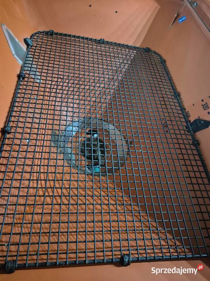 KuhnRauch MDS 171 Kuhn Gierałtów