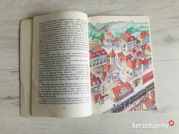 Książka Fikuś Zulek i Ciężkogłowy Andrzej Łódź