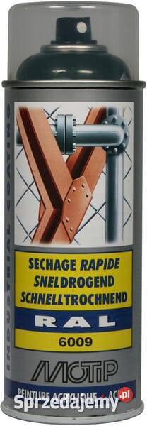 Lakier akrylowy w sprayu RAL 6009 zielony 400 ml małopolskie sprzedam