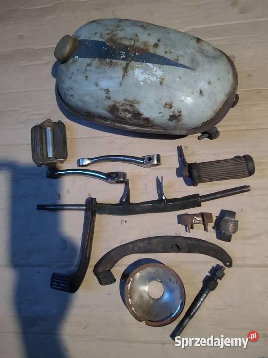 Żak ryś komar Pedał owiec pozostałość Kruszwica sprzedam