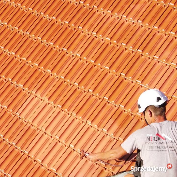 Antykorozja i Malowanie Dachów Kęty HotWater Usługi małopolskie