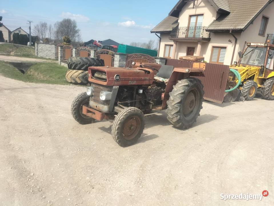 Massey Ferguson MF 135 Busko-Zdrój